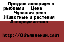 Продаю аквариум с рыбками  › Цена ­ 7 000 - Чувашия респ. Животные и растения » Аквариумистика   